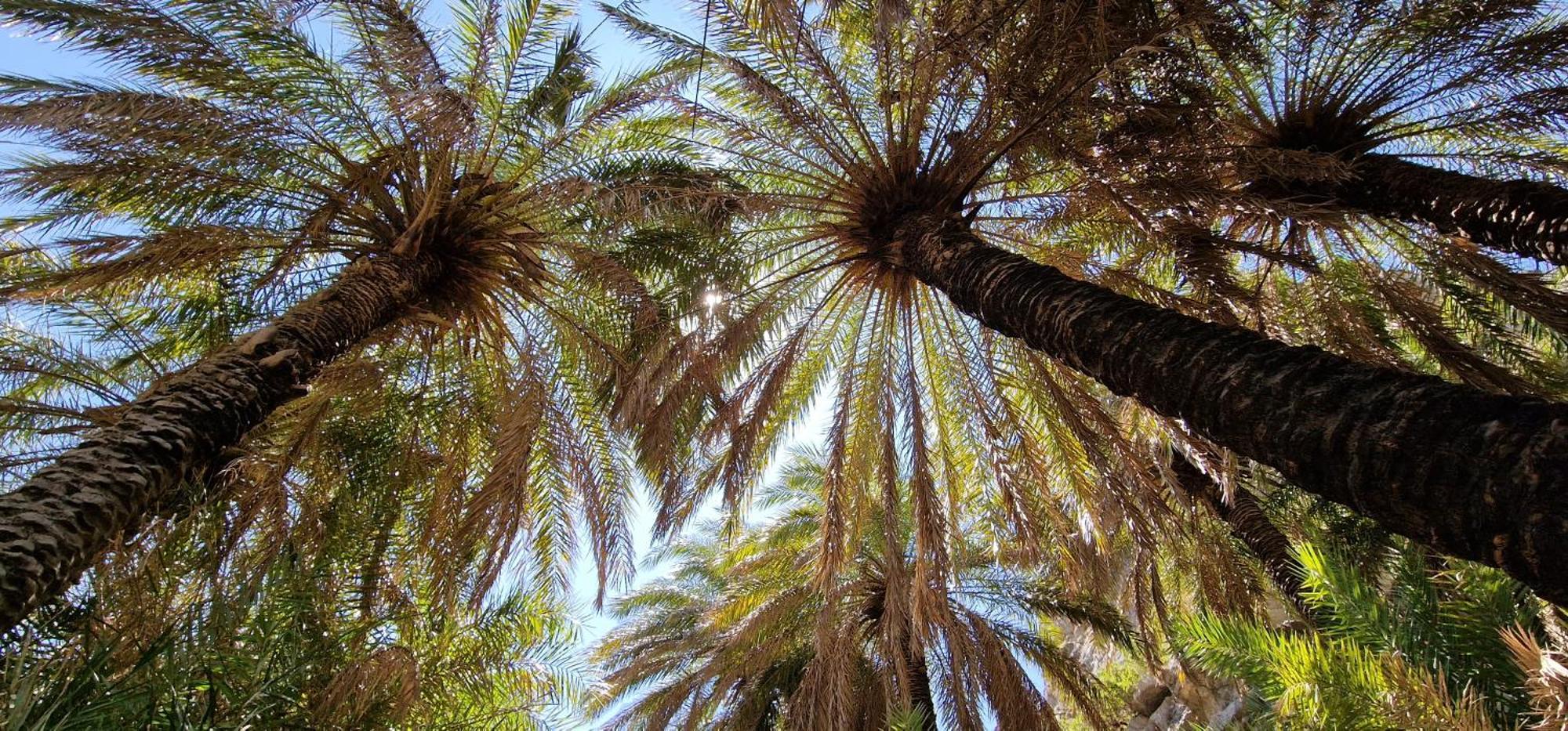 Asomatoi Villa Erofili Plakias South Rethimno Crete מראה חיצוני תמונה